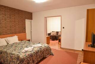 Отель Hotel Rothmans Банско Номер-студио (для 2 взрослых)-11