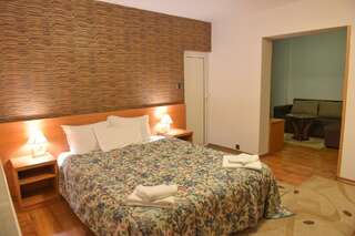Отель Hotel Rothmans Банско Номер-студио (для 2 взрослых)-21
